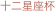 shapeimage_15_link_0